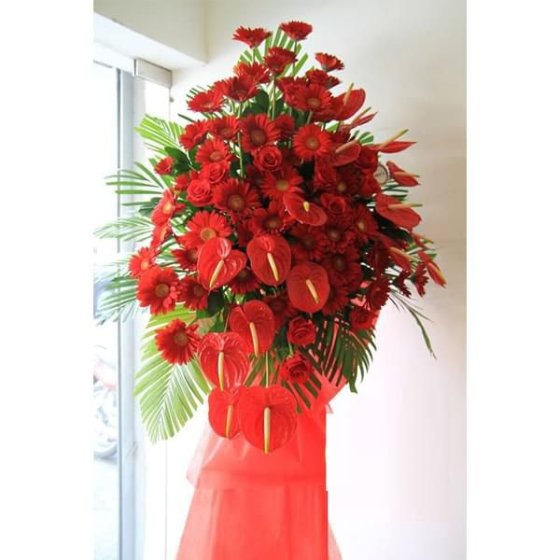 Đại Thắng - KH1008