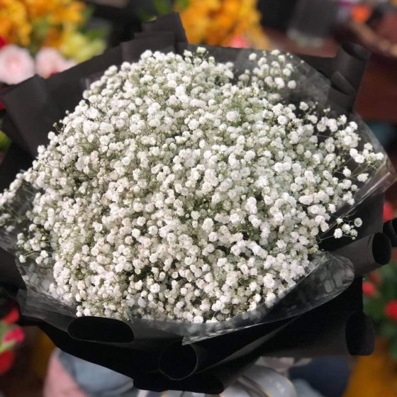 BABY I LOVE YOU - HB1016