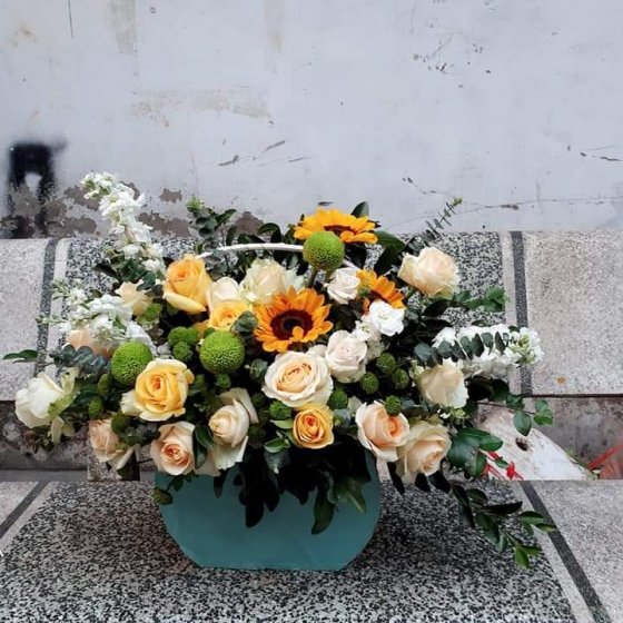 HOPEFULLY  - HHG1049