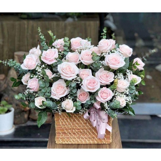 KHÚC HÁT CHIM TRỜI - HHG1045