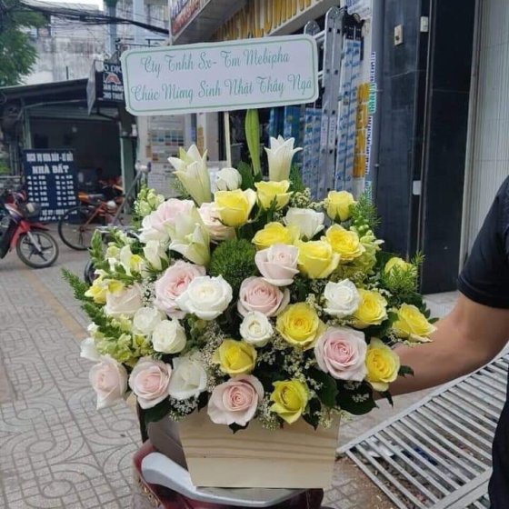 NẮNG HẠ - HHG1043