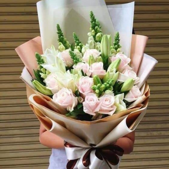 LỜI TỎ TÌNH CỦA MÙA XUÂN - HB1014