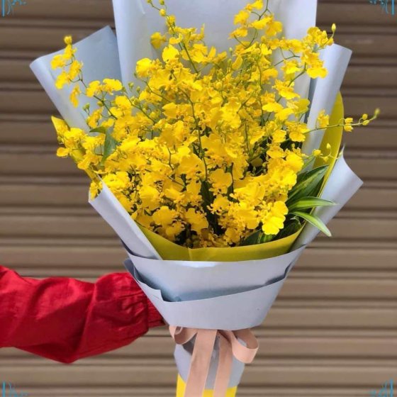 BAN MAI TƯƠI ĐẸP - HB1011