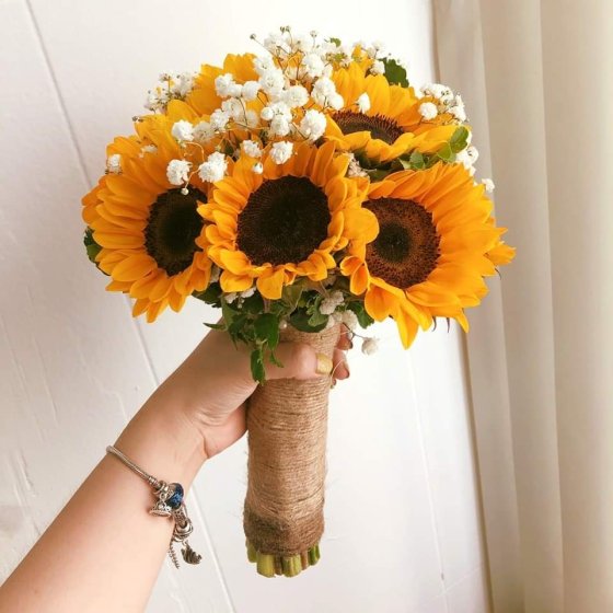 MẶT TRỜI CỦA ANH - HC1001