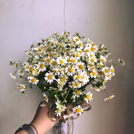 TANA FLOWER - HC1003