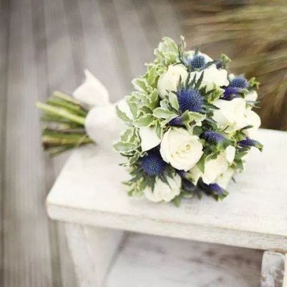 NGÀY CHUNG ĐÔI - HC1006