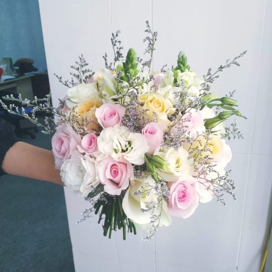 CÁNH HỒNG NGÀY ĐẦU - HC1007