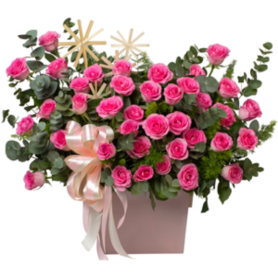 Nàng Hồng - HHG1009