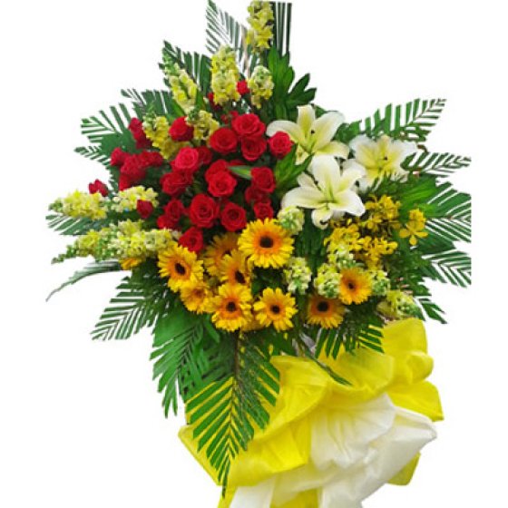 CÁT TƯỜNG - KH1003