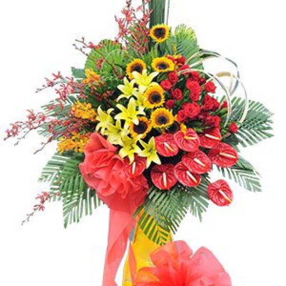 Thành Đạt - KH1007