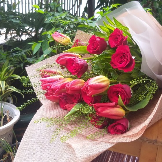 HELLO  HOLLAND - HB1028